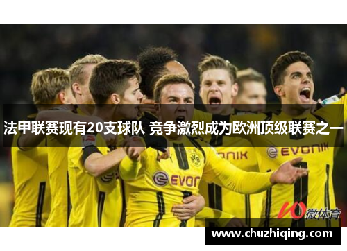 法甲联赛现有20支球队 竞争激烈成为欧洲顶级联赛之一