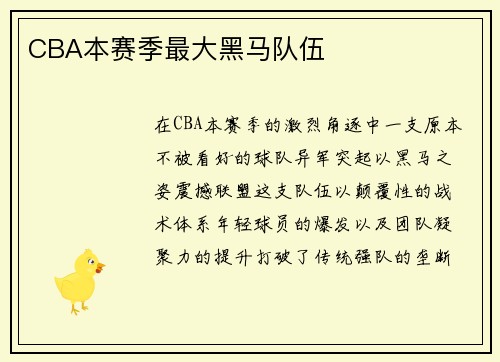 CBA本赛季最大黑马队伍