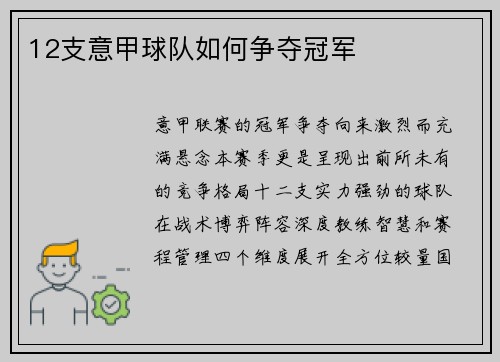 12支意甲球队如何争夺冠军
